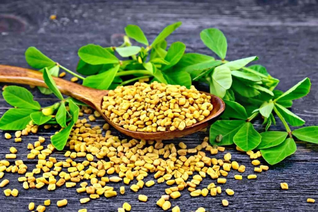 Fenugreek- Methi in Indian Food